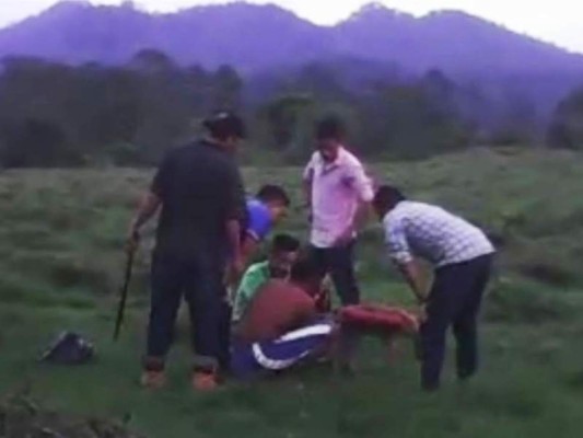 Los 10 videos de la semana en ElHeraldo.hn