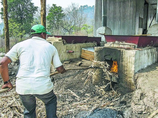 Rapaduras de Cantarranas, una dulce manera de cuidar el medio ambiente