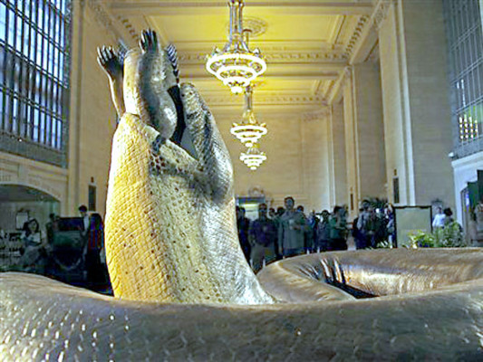 Exhiben réplica de enorme víbora hallada en Colombia