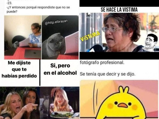 Memes virales de 2019: Gatos y el pollito amarillo entre los más compartidos