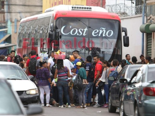 Autorizan al transporte interurbano y de turismo operar en Semana Santa