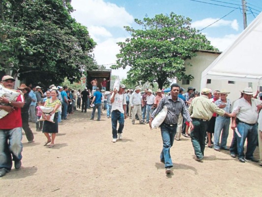 Bono agrícola será entregado en postrera a 89 mil familias productoras