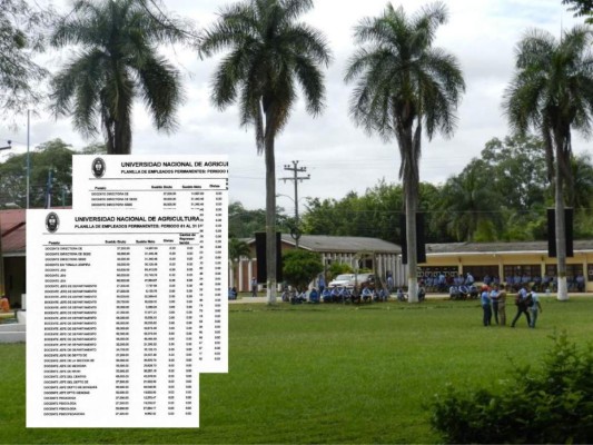 'Fiesta sin límites' con el dinero de la Universidad de Agricultura en Olancho
