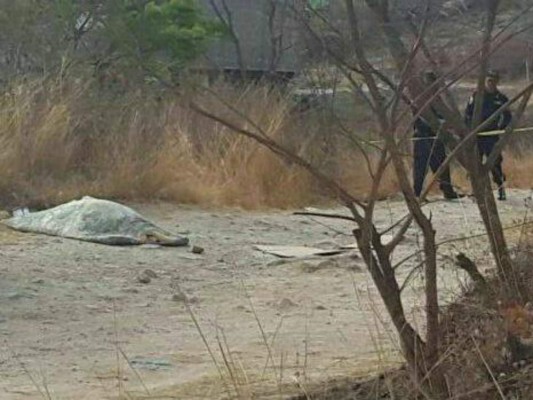 Hallan una persona muerta en aldea Las Casitas de la capital de Honduras