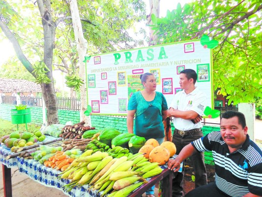 Las ONG buscan fomentar una producción sostenible en el sur