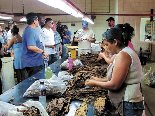 Inversionistas visitan tabacaleras