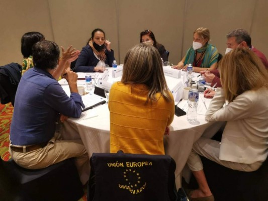 Observadores de largo plazo de la MOE-UE regresan a sus países tras proceso electoral