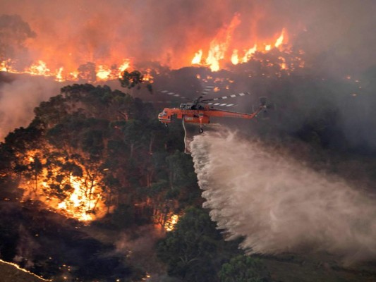 Miles se refugian en playas para escapar de incendios en Australia&nbsp; &nbsp;