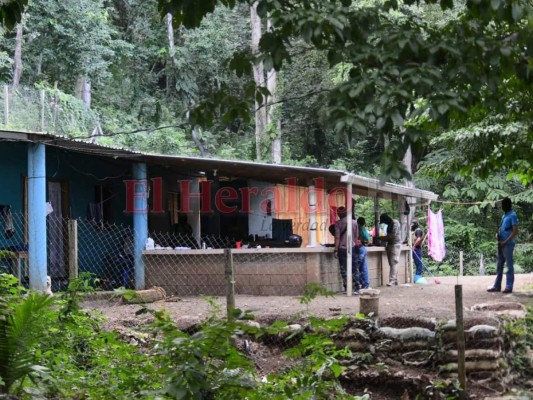 Disparos y confrontación, así fue la captura de mareros en El Merendón