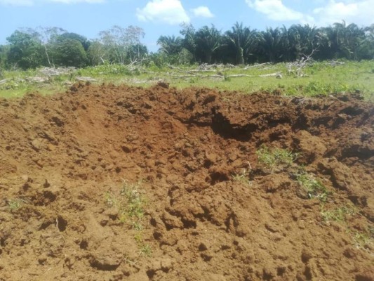 Honduras: Destruyen narcopista clandestina en Iriona, Colón