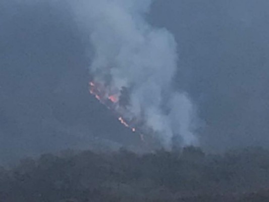 Honduras: Bomberos y Copeco controlan y extinguen fuego en El Hatillo