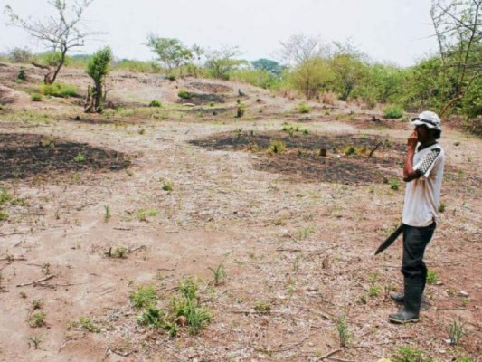 Descartan fuerte impacto de La Niña en Honduras y el resto de Centroamérica&nbsp;