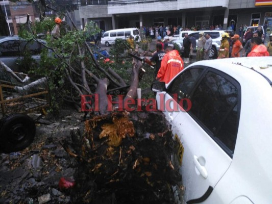 Imágenes de las inundaciones en Tegucigalpa tras fuerte lluvia