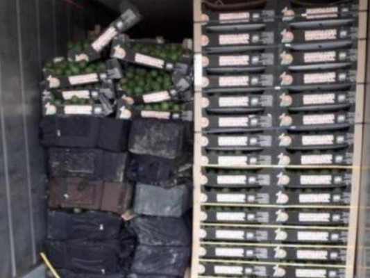 Desarticulan red que enviaba cocaína en aguacates desde Colombia a Holanda