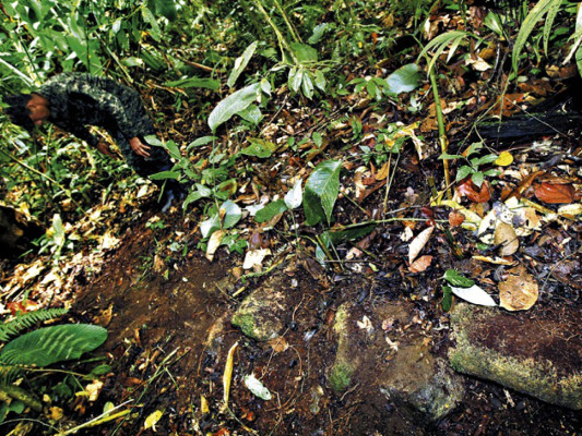 Emergen vestigios de Ciudad Blanca