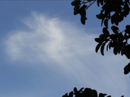 Formaciones naturales que flotan en el cielo