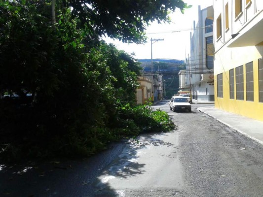 Lluvias dejan daños en parque La Libertad