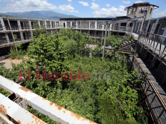 En selva y hábitat de serpientes se convirtió la megacárcel de Naco (Fotos)