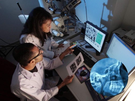 Científicos descubren una nueva parte del cuerpo humano