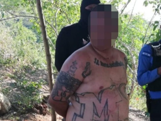 Cae peligroso integrante de la Mara Salvatrucha (MS-13) en San Pedro Sula&nbsp;&nbsp;