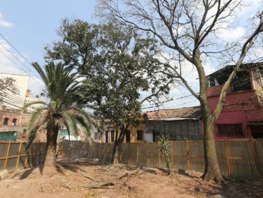 Inician el rescate del insigne parque La Concordia