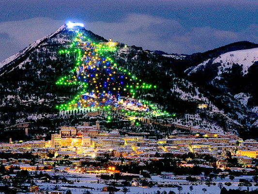 El Papa encenderá el árbol de Navidad más grande del mundo