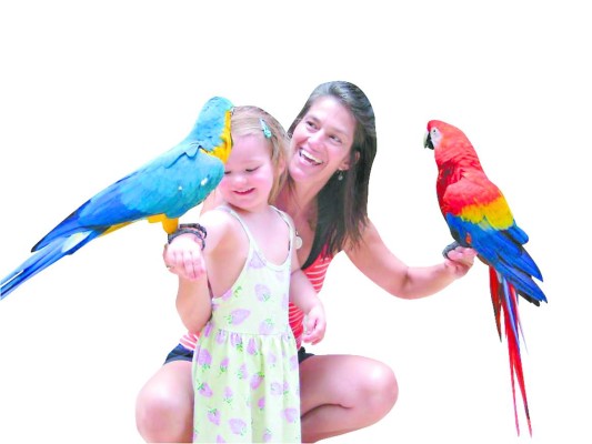 Ginger, el vuelo de una guacamaya