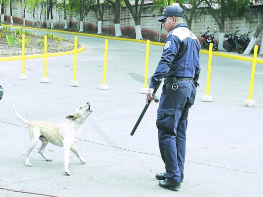 Amenos momentos en la toma de posesión municipal