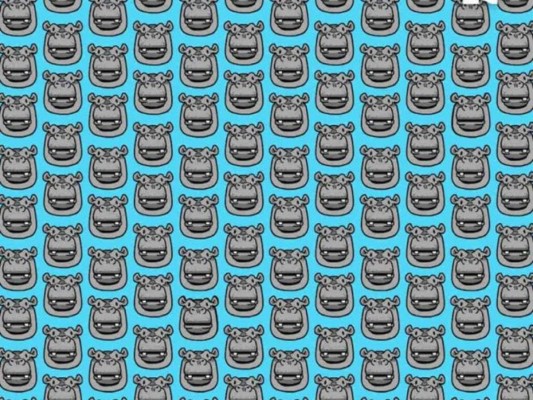 Acertijo visual: Encuentra a los hipopótamos sin dientes tan rápido como puedas