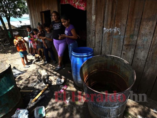 Doña Brenda y sus 13 hijos esperan de su apoyo