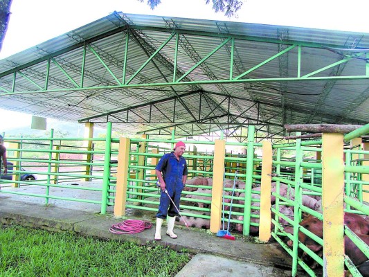 Transforman condiciones de rastro municipal de Danlí