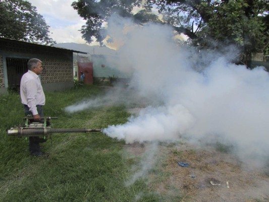 Refuerzan operativos contra el dengue en Danlí
