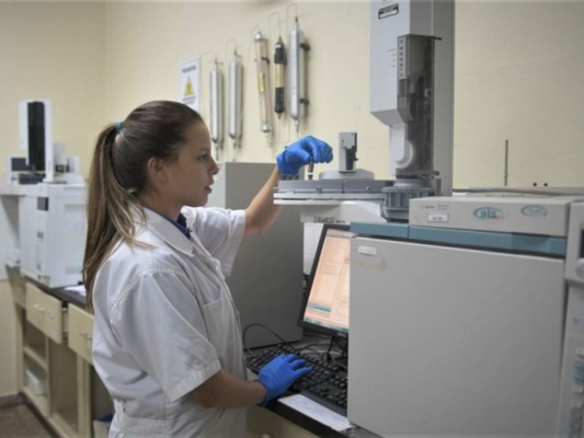 Fortalecimiento de la agricultura en la región, una oportunidad para el desarrollo&nbsp;&nbsp;