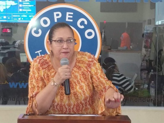 Araujo sobre ventiladores inservibles: Se compró lo que se encontró