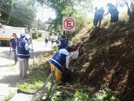 Salud realiza segundo ciclo de fumigación en la capital