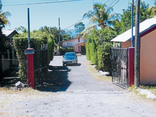 Formación educativa y agrícola reciben miles de niños pobres de Comayagua