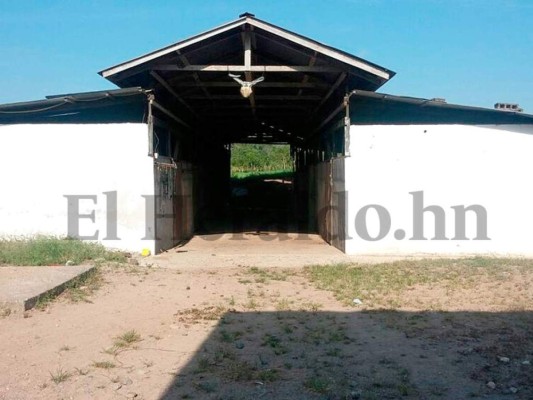 Honduras: La lujosa vida que rodeaba al presunto capo Wilter Blanco