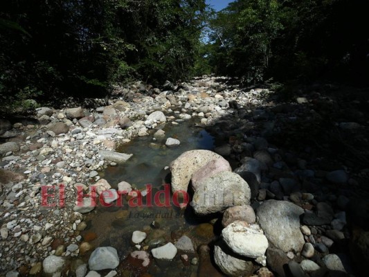 En abandono Jupuara, la hacienda donde vivieron Morazán y María Josefa