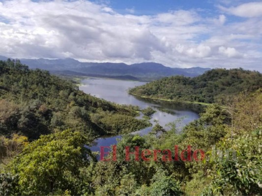 Más de 614 millones de lempiras pagaría la ENEE por indemnización