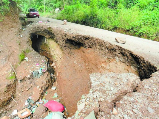 Por 40 kilómetros de carreteras en ruinas se transportará café