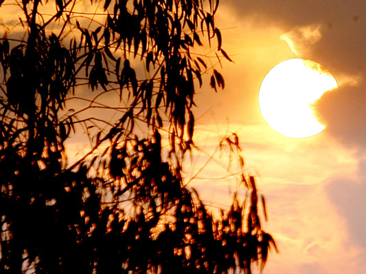 Las fotos de la semana en ElHeraldo.hn