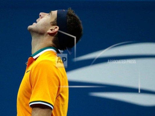 Del Potro quiere estar entre los primeros del tenis&nbsp;&nbsp;