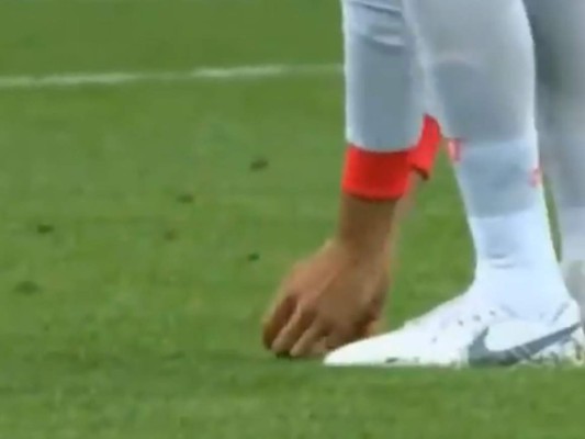 VÍDEO: Isco le salvó la vida a un pajarito durante el partido contra Irán