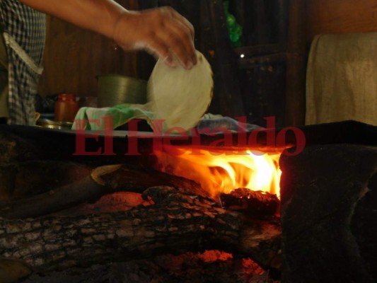 En más de 75,500 hogares del sur aún se utiliza leña para cocinar