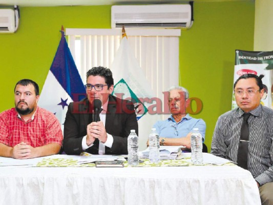 Apenas 30 de 1,440 empleados del RNP tienen formación universitaria