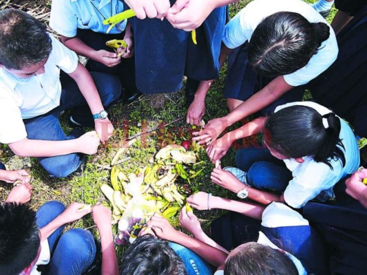 Escuelas cierran el primer mes de trabajo aprendiendo del compost