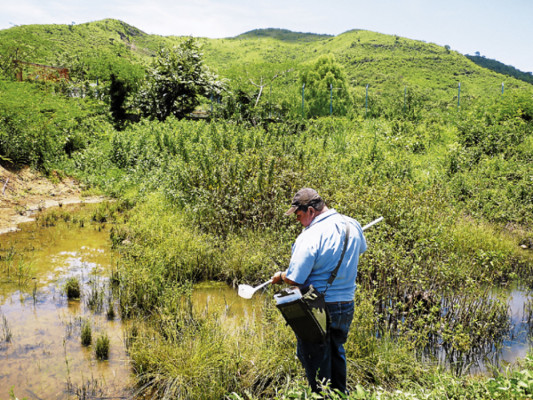 Seis casos de malaria registra Comayagua