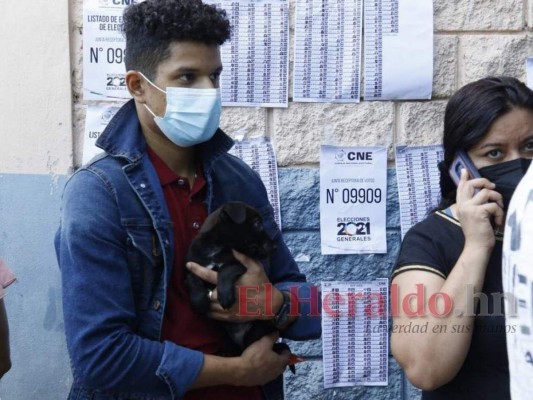 Electores acuden a las urnas en compañía de sus perritos para ejercer el sufragio