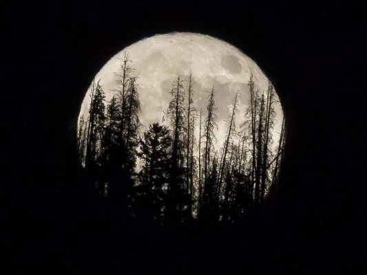 La Superluna rosa de abril que iluminará el cielo