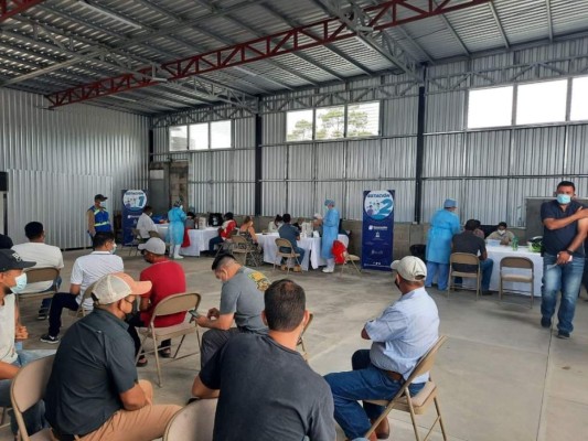 Vacunan contra el covid-19 a 500 transportistas de carga pesada en Tegucigalpa